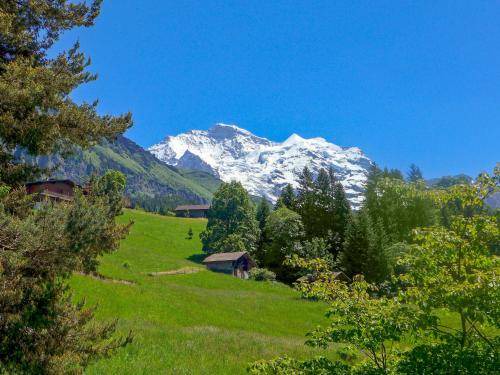 Photo of Others in Wengen
