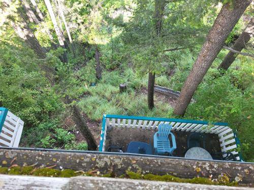Photo of Others in East Kootenay