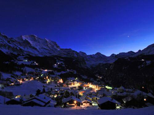 Photo of Others in Wengen