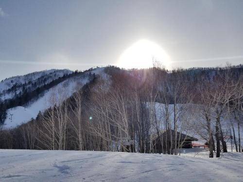 Photo of Others in Furano