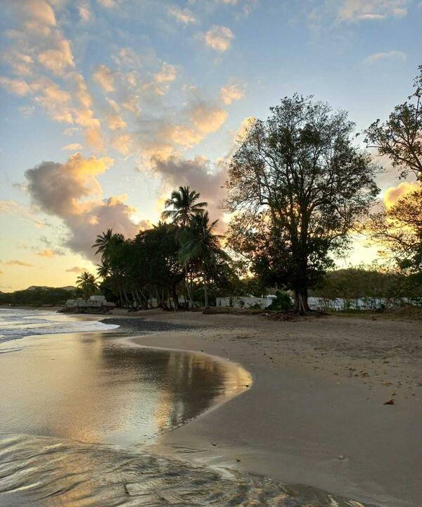 Photo of Others in Marigot Bay
