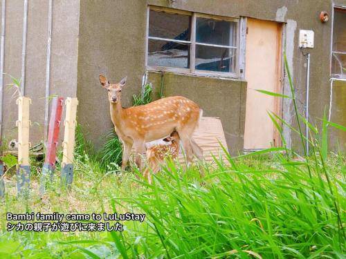 Photo of Others in Wakkanai