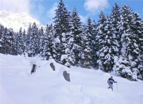 Photo of Others in Chiavenna