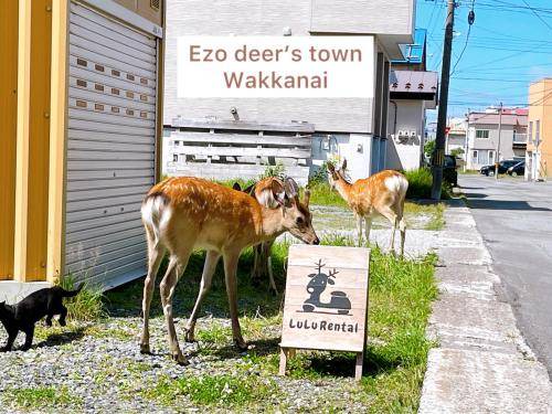 Photo of Others in Wakkanai