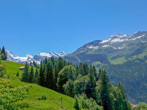 Photo of Others in Wengen