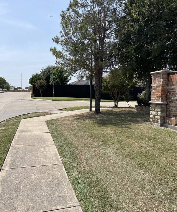 Photo of Others in Lewisville