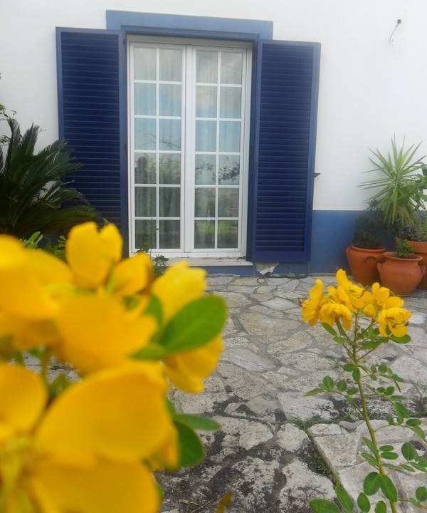 Photo of Others in Arruda dos Vinhos