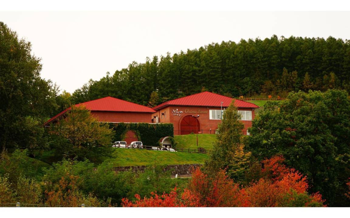 Photo of Buildings in Furano