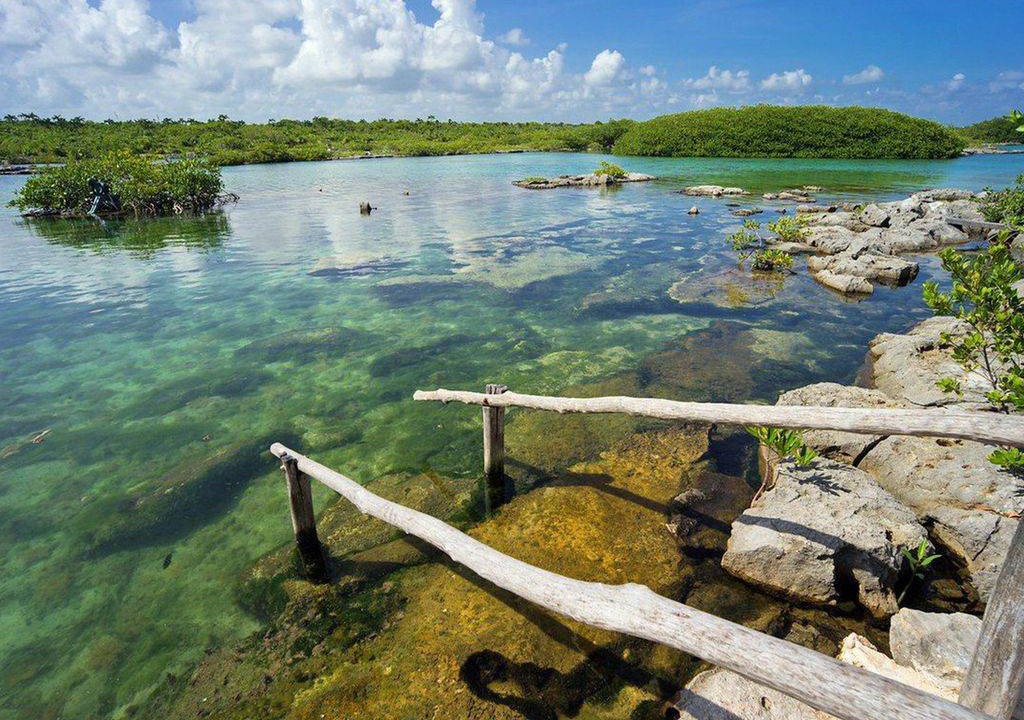 Photo of Others in Akumal