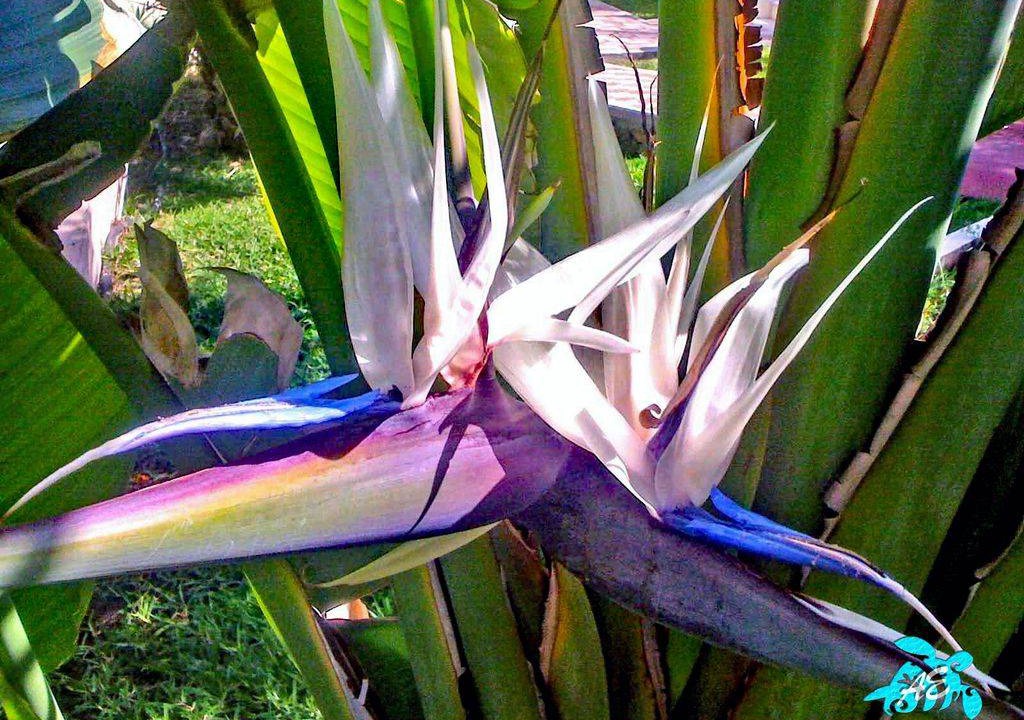 Photo of Others in Akumal