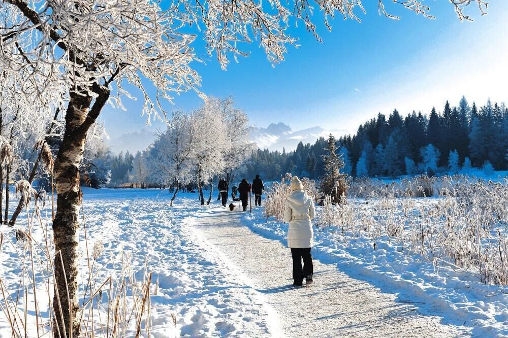 Photo of Others in Mieming