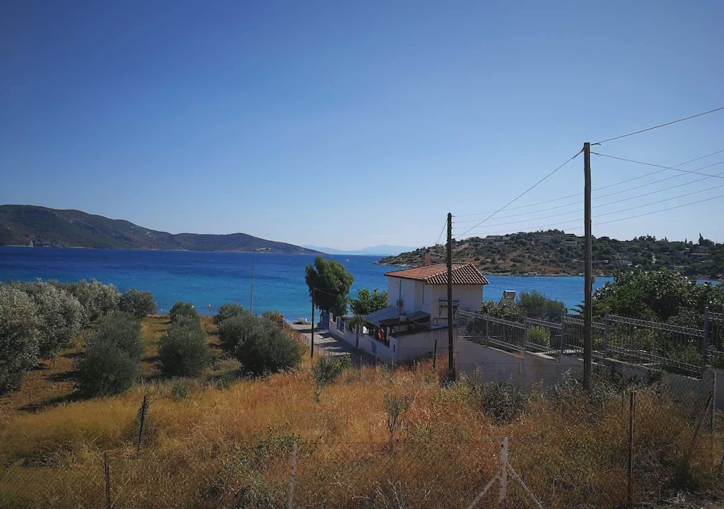 Photo of Others in Salamis