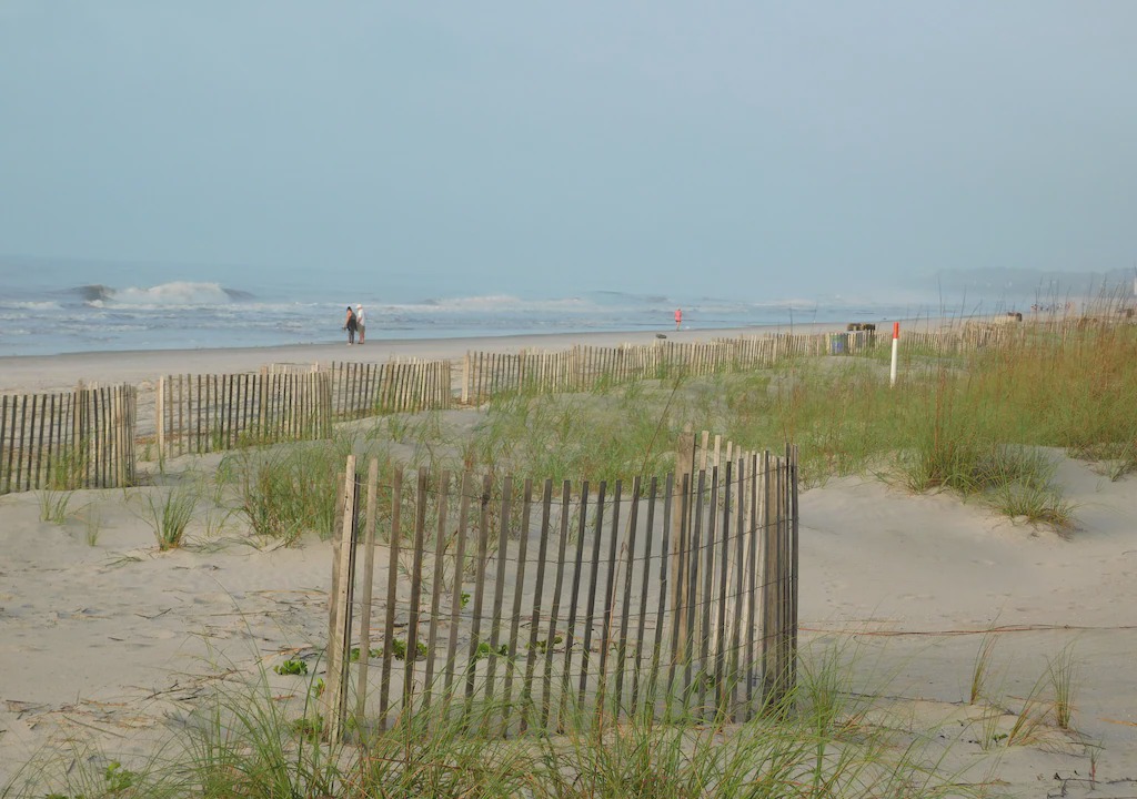 Photo of Others in Folly Field