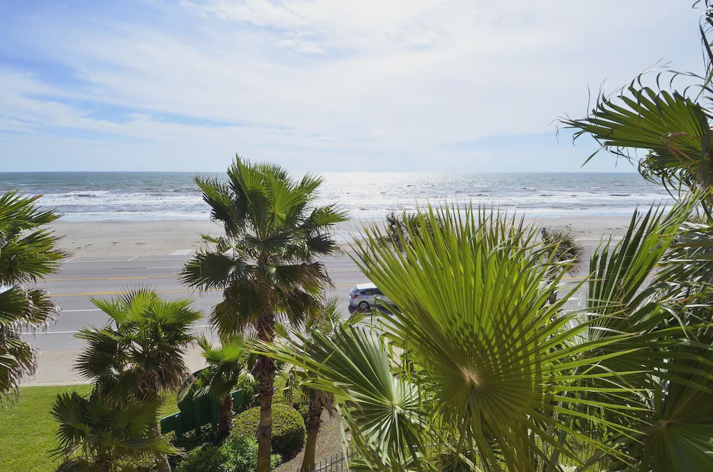 Photo of Others in Galveston