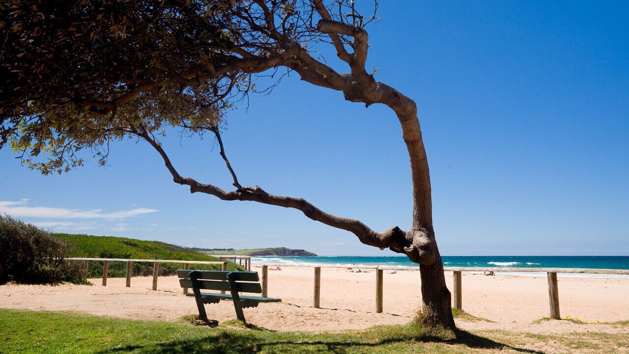 Photo of Others in Dee Why
