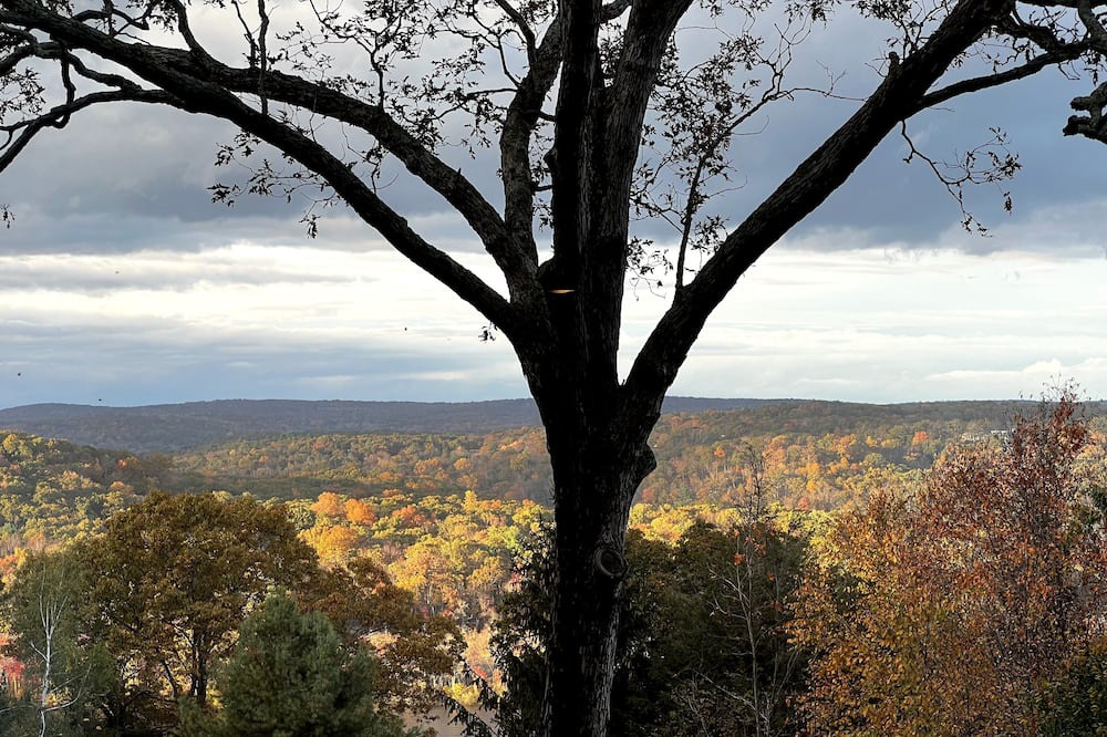 Photo of Outdoor in Lyme