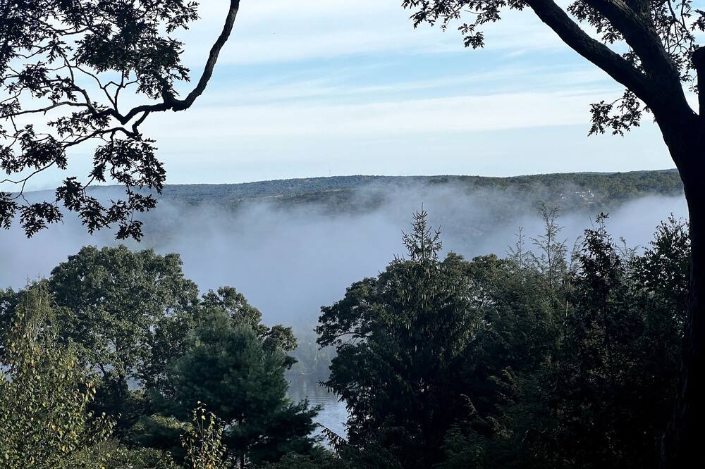 Photo of Others in Lyme