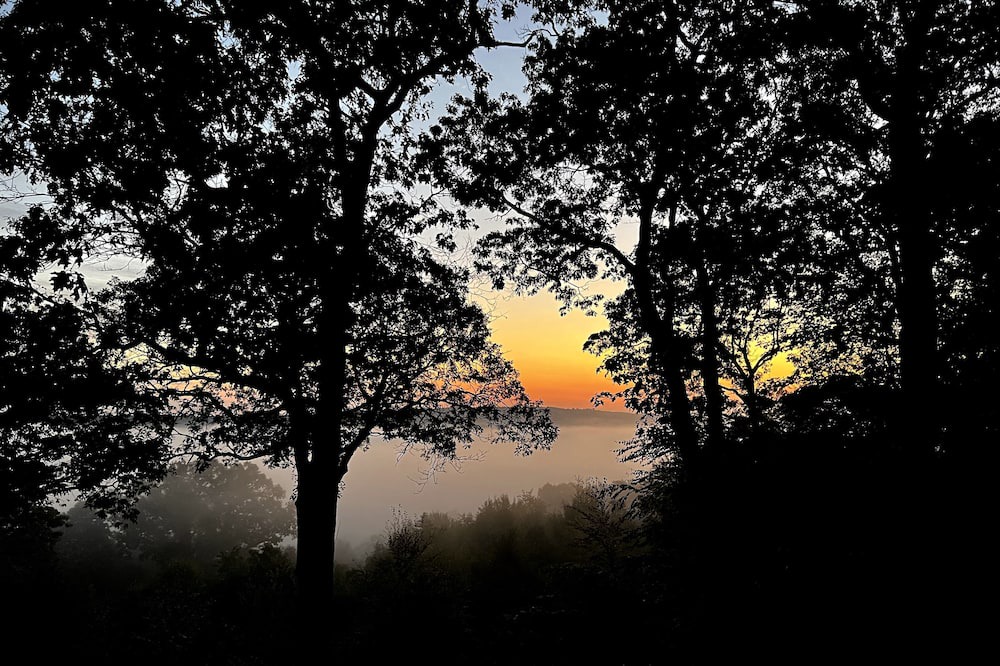 Photo of Outdoor in Lyme