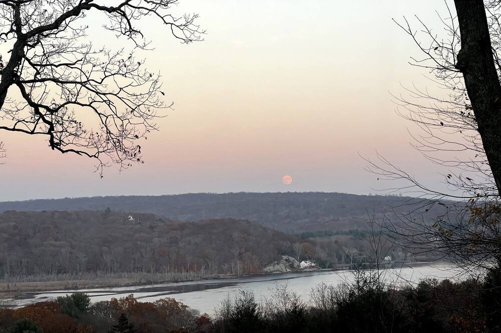 Photo of Others in Lyme