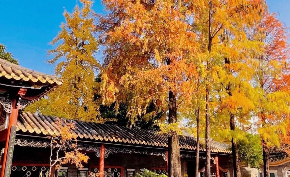 Photo of Others in Shunde