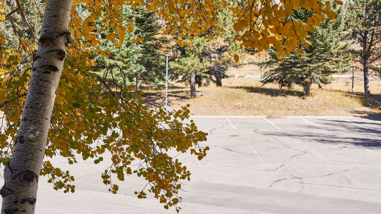 Photo of Others in Aspen