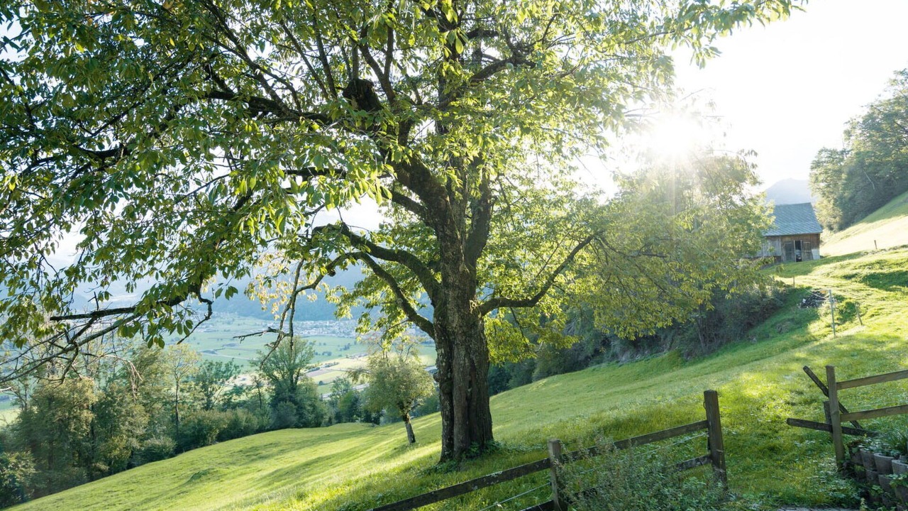 Photo of Outdoor in Weesen