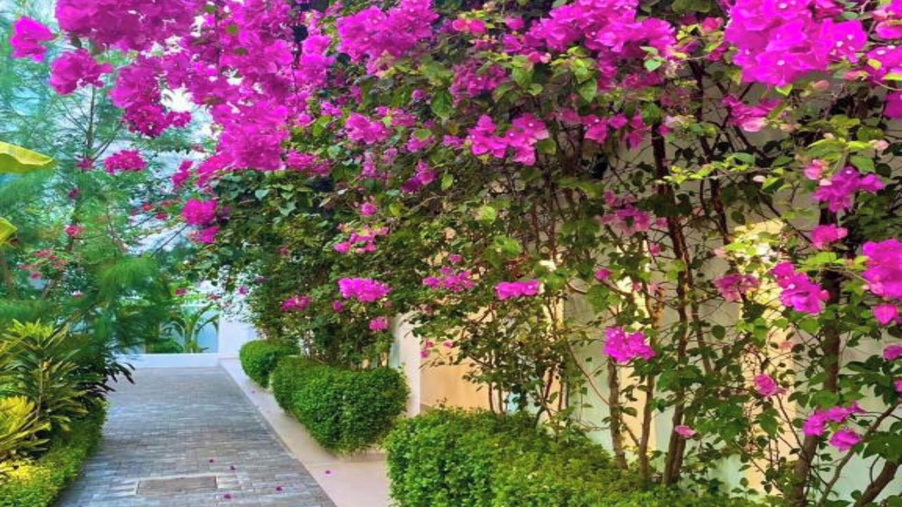 Photo of Outdoor in Freetown