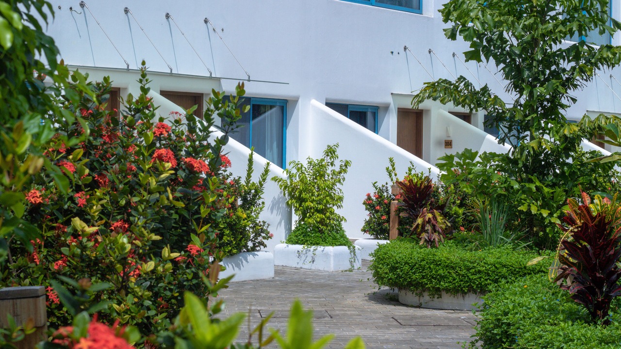 Photo of Outdoor in Freetown