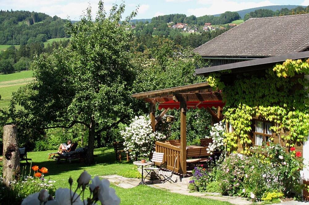 Photo of Others in Waldkirchen