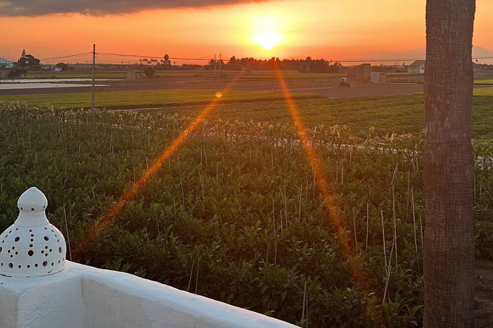 Photo of Patio Balcony in Alboraya