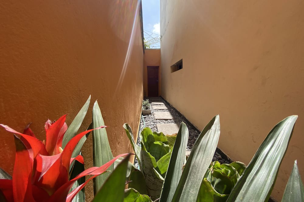 Photo of Outdoor in San Isidro