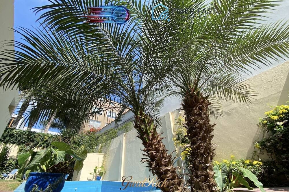 Photo of Outdoor in San Isidro