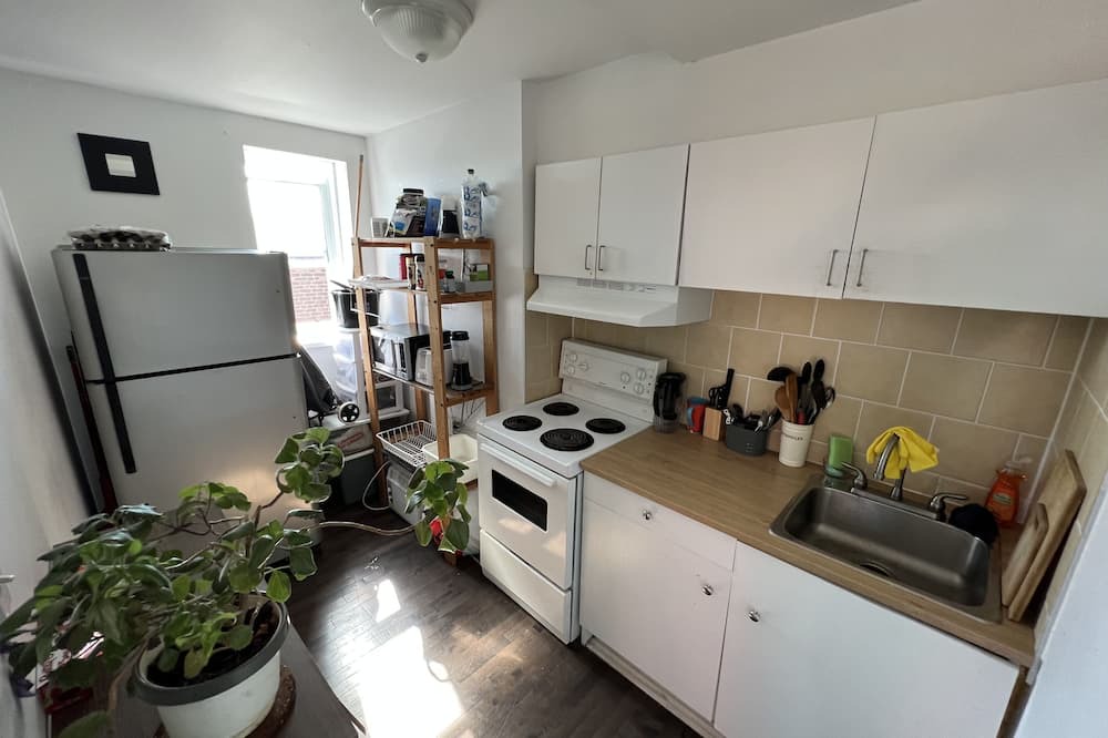 Photo of Kitchen in Mile End