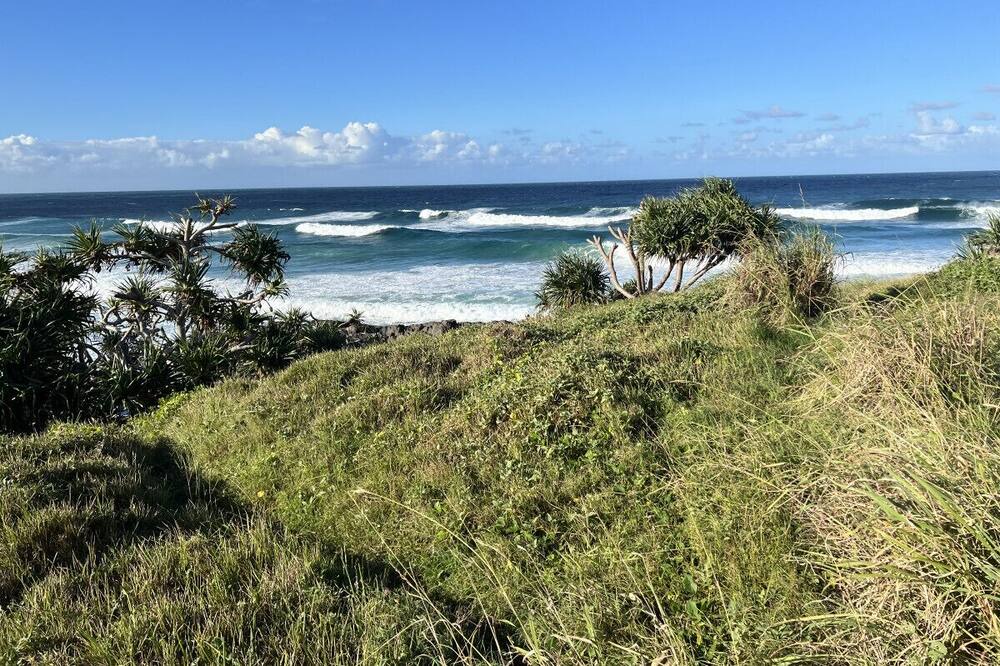 Photo of Others in Cabarita Beach