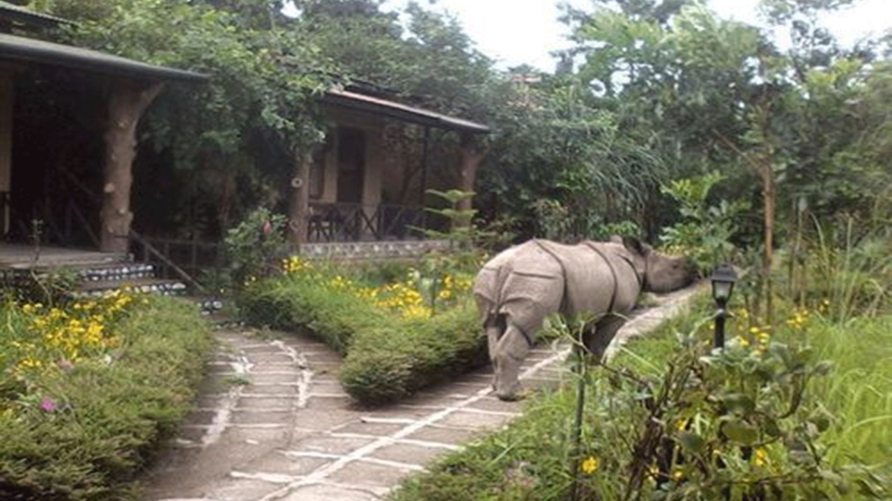 Photo of Outdoor in Sauraha