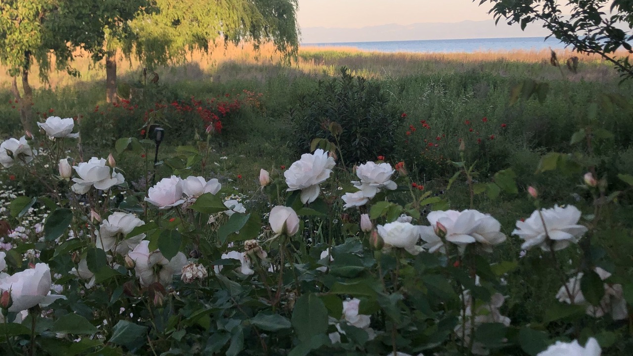 Photo of Outdoor in Orhangazi
