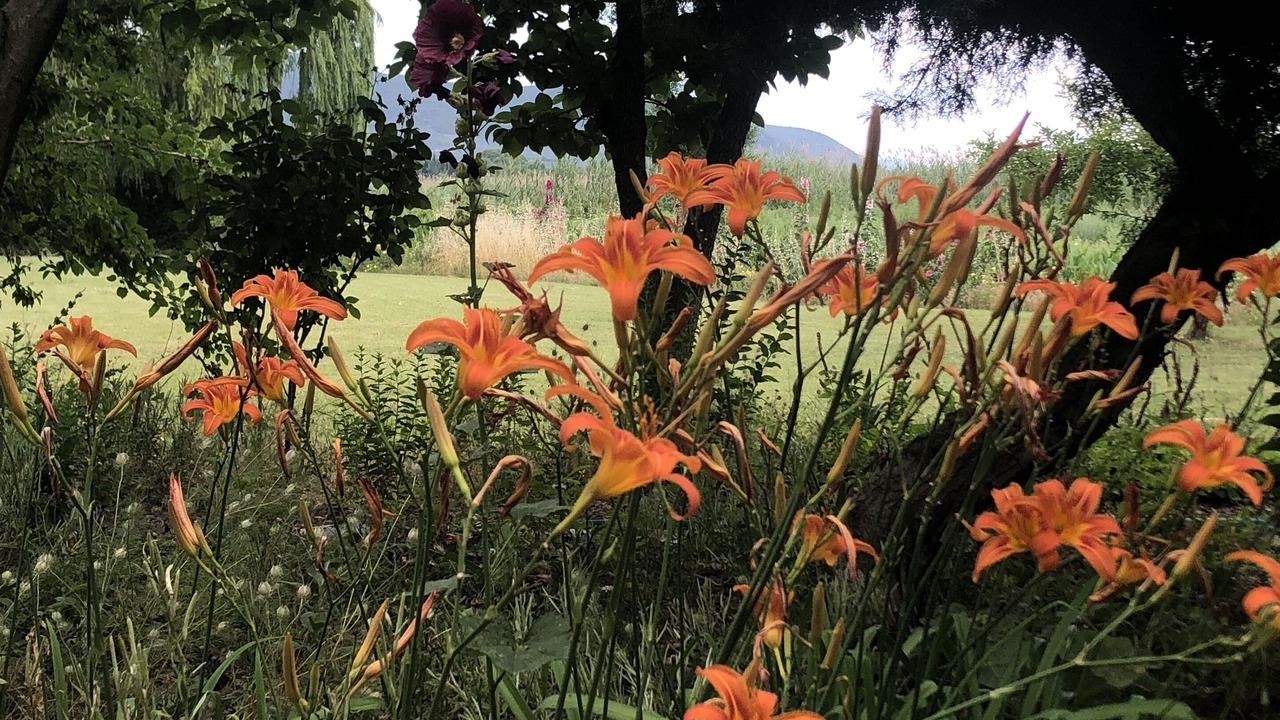 Photo of Outdoor in Orhangazi