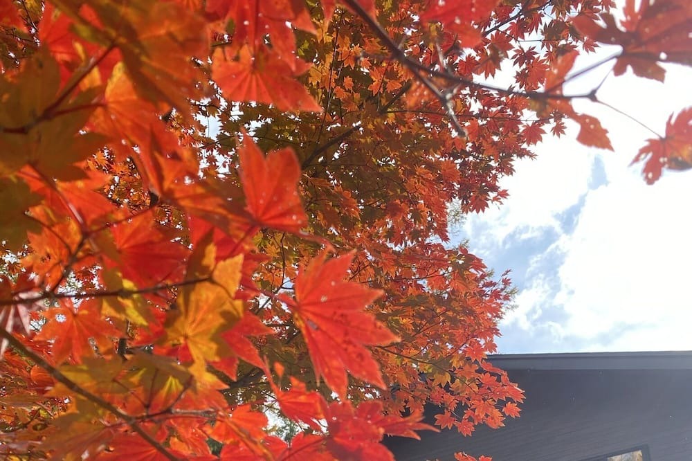 Photo of Outdoor in Kitaazumi-gun