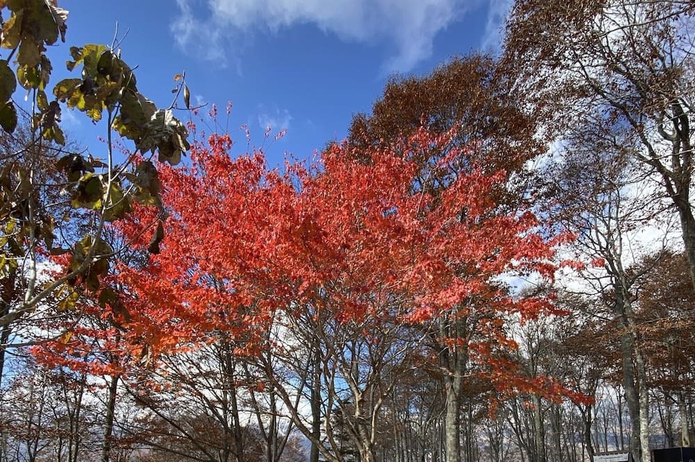 Photo of Outdoor in Kitaazumi-gun