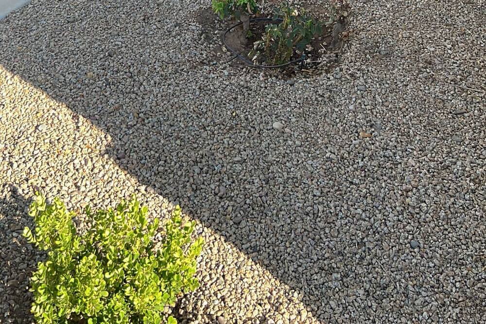 Photo of Outdoor in El Mirage