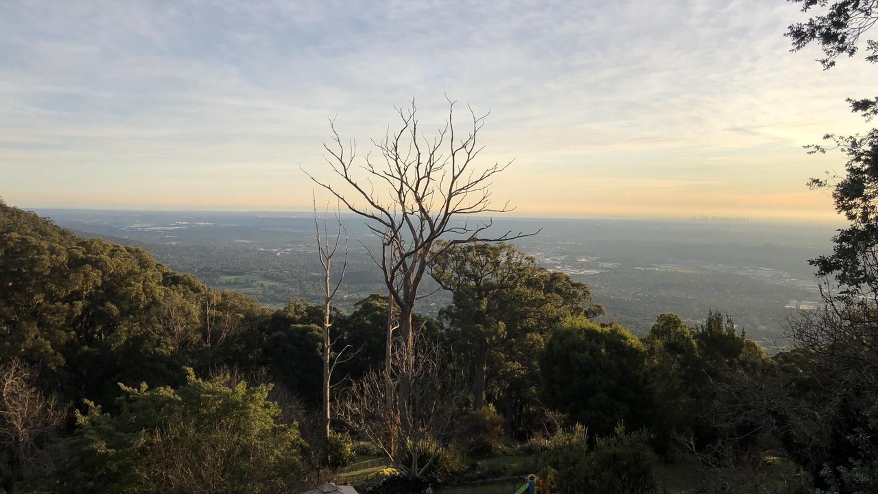 Photo of Outdoor in Mount Dandenong