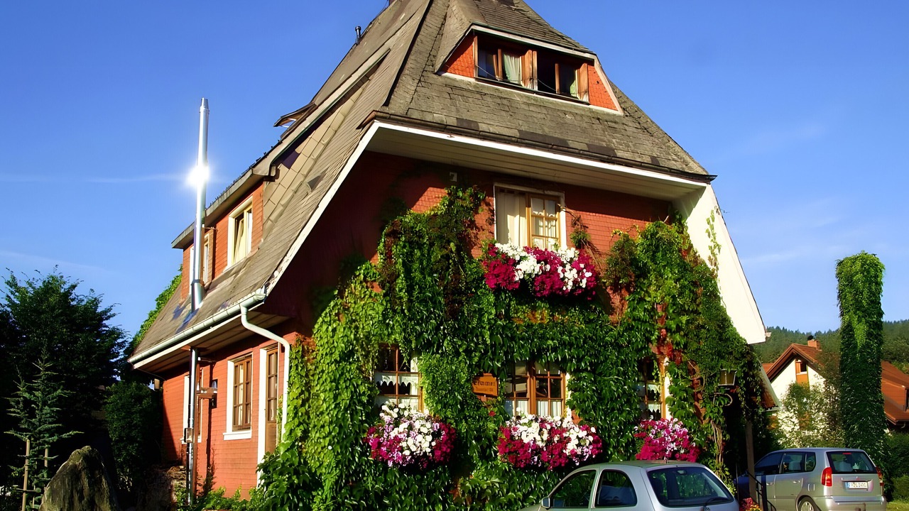 Photo of Outdoor in Titisee-Neustadt