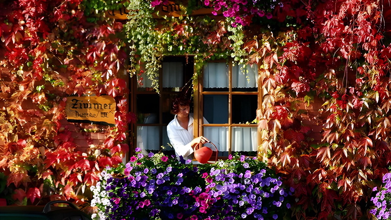 Photo of Outdoor in Titisee-Neustadt