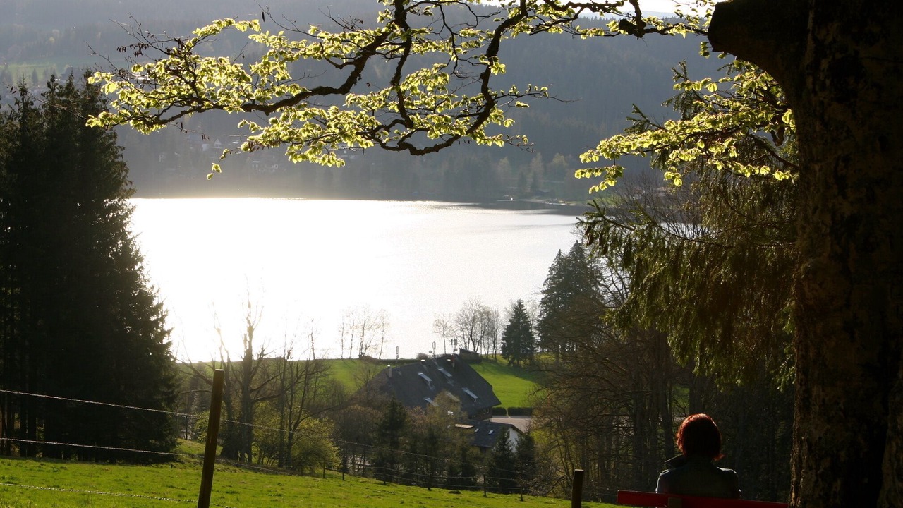 Photo of Outdoor in Titisee-Neustadt
