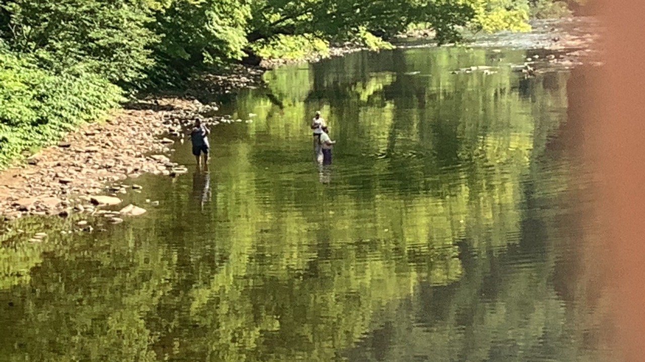 Photo of Others in Livingston Manor