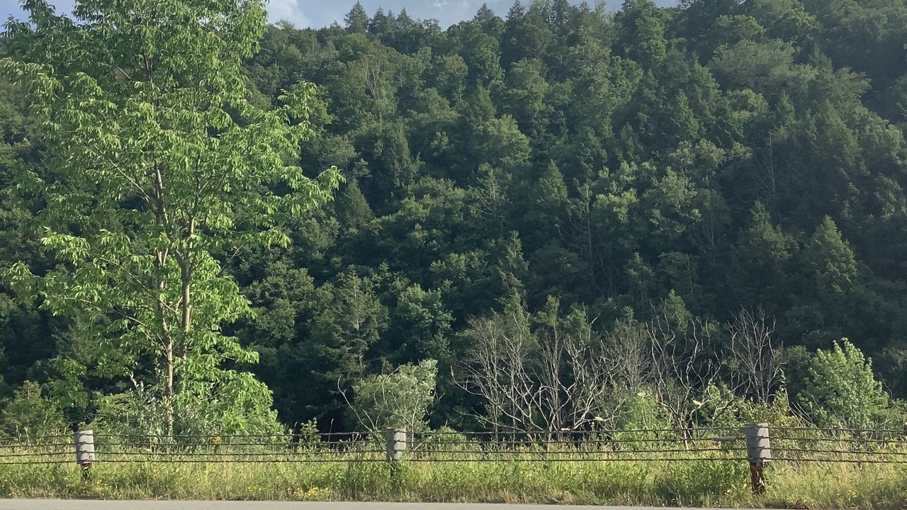 Photo of Others in Livingston Manor