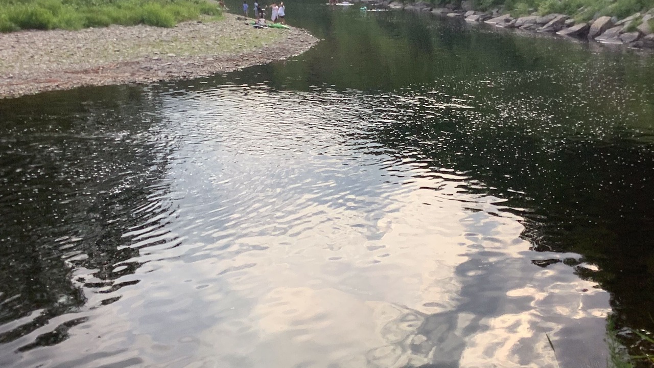 Photo of Others in Livingston Manor