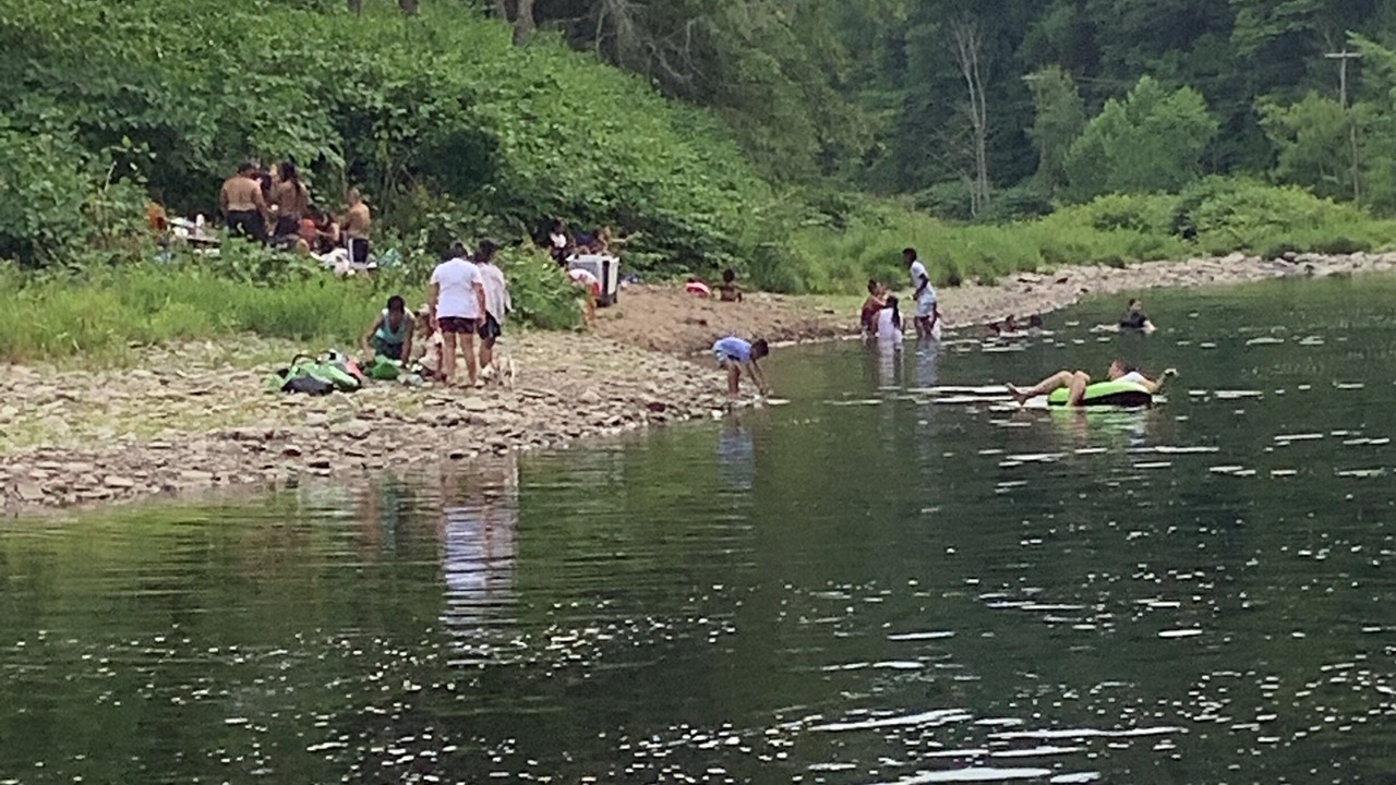 Photo of Others in Livingston Manor