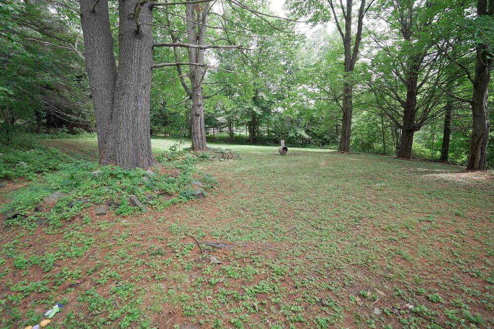 Photo of Others in Montpelier