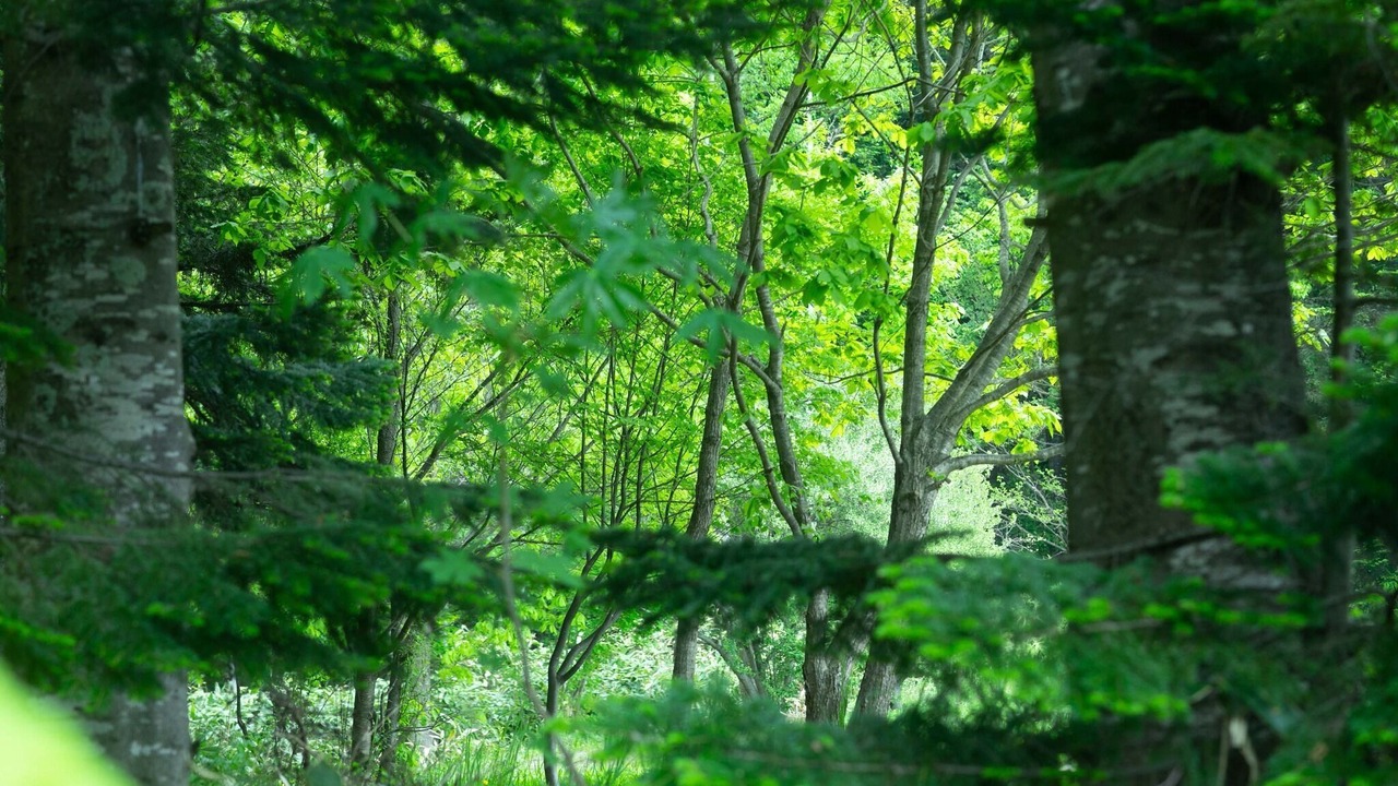 Photo of Outdoor in Nakafurano